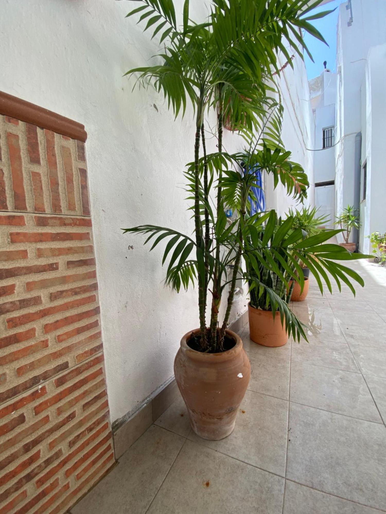 Casa Calle Vejer de la Frontera Exterior photo